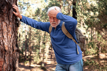 Senior bearded man feeling bad while walking in the mountain woods. Elderly man with backpack...