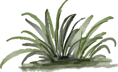 watercolor illustration of grass