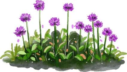 flowers in the grass watercolor illustration