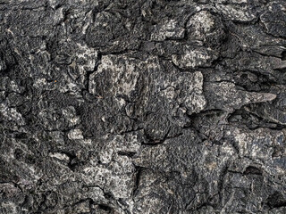 Wood texture background surface old natural pattern