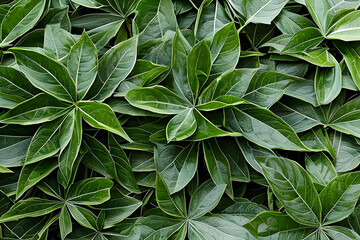 Green leaves pattern background, Natural background and wallpaper, generative ai