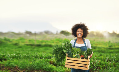 Agriculture, farm and portrait of black woman with vegetables, natural produce and organic food in...
