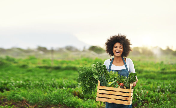 Agriculture, farm and portrait of black woman with vegetables, natural produce and organic food in field. Sustainability, agribusiness and farmer with box for eco farming, gardening and harvesting
