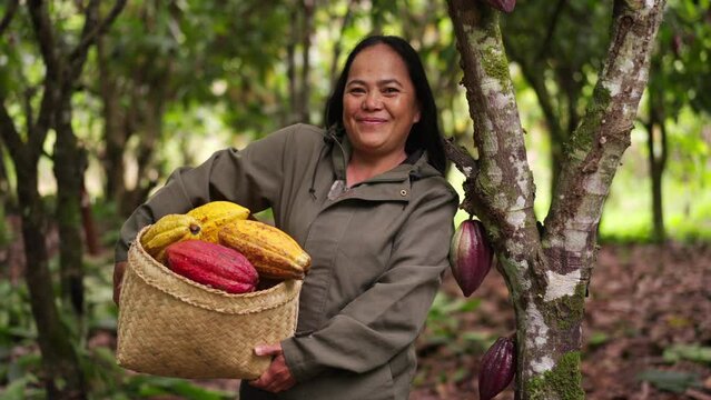 Smiling portrait of middle-aged female cacao farmer happily holding harvested cacao pods on farm 