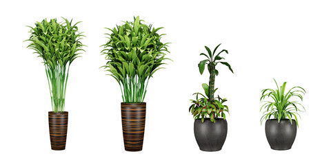 Set of plant in a pot isolated on white background, 3d render illustration.