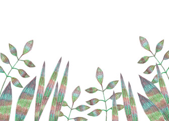 Plants on meadow hand drawn with colored pencils on white background