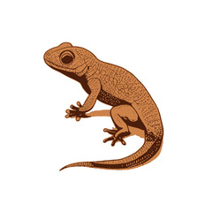 Lizard gecko illustration artwork vector graphic, cute geckos vectorized
