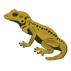 Lizard gecko illustration artwork vector graphic, cute geckos vectorized