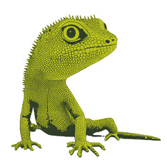 Lizard gecko illustration artwork vector graphic, cute geckos vectorized