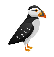 Atlantic Puffin cartoon character . Vector .