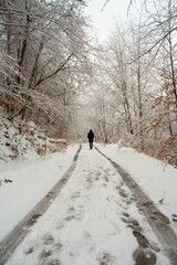 walking in the snow