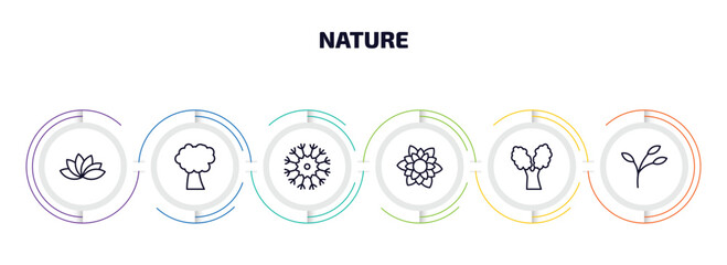 nature infographic element with outline icons and 6 step or option. nature icons such as protea, pin cherry tree, knapweed, dahlia, eastern cottonwood tree, branch vector.