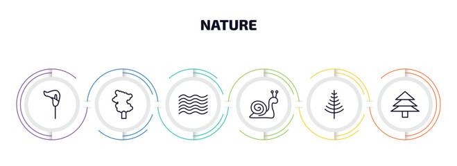 nature infographic element with outline icons and 6 step or option. nature icons such as lily, sassafras tree, waves, snail, larch, pine tree vector.