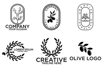 Set of branch olive tree. Black and white outline silhouette. Vector illustration