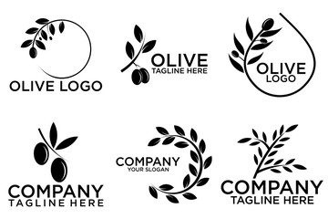 Set of branch olive tree. Black and white outline silhouette. Vector illustration