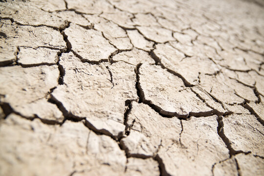 Close-up of parched mud in an arid area.