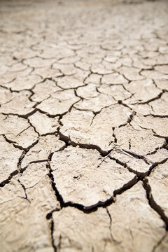 Close-up of parched mud in an arid area.