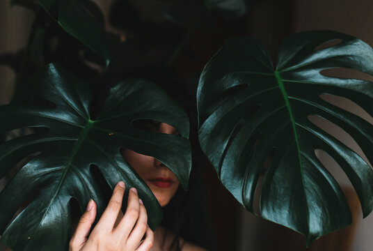 Unrecognizable model posing and covering with green Monstera leaves