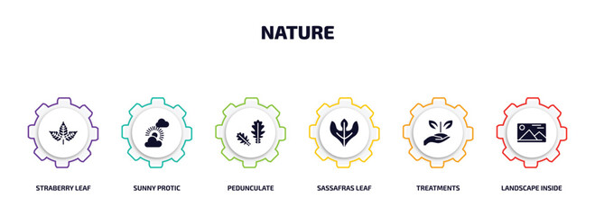 nature infographic element with filled icons and 6 step or option. nature icons such as straberry leaf, sunny protic, pedunculate, sassafras leaf, treatments, landscape inside frame vector.