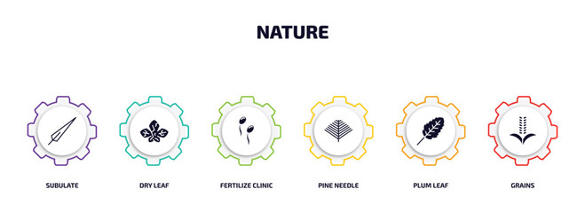 nature infographic element with filled icons and 6 step or option. nature icons such as subulate, dry leaf, fertilize clinic, pine needle, plum leaf, grains vector.