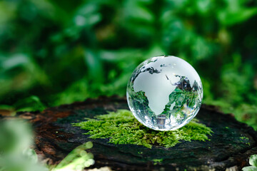 Glass globe in the green forest with sunlight for the Environment, save the world, earth day, and...