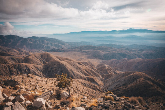 A desert view in Joshua Tree National Park, California