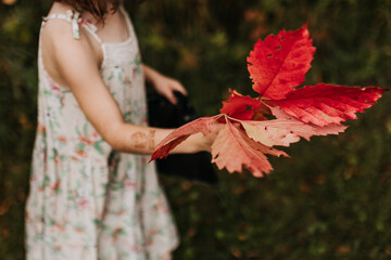 Young girl holds bright red leaves outside while exploring