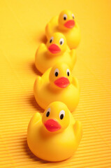 four yellow rubber ducks in a row, on yellow background