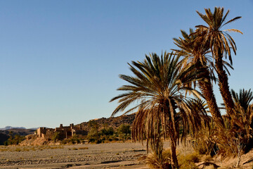 Marocco, paesaggio predesertico del Medio Atlante. Regione di Souss Massa