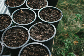 Planting seeds in the garden.The seeds in my hand against the soil.