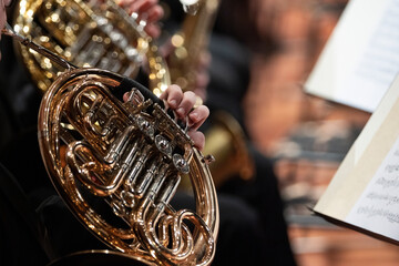 French horn players playing during a classical symphony orchestra concert