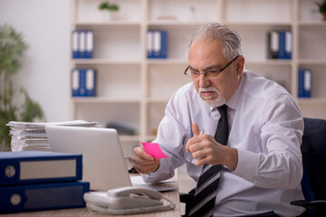 Old male employee working in the office