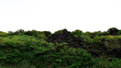 伊豆大島火口一周遊歩道の風景