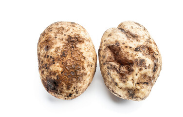 Diseased potato tubers isolated on white background
