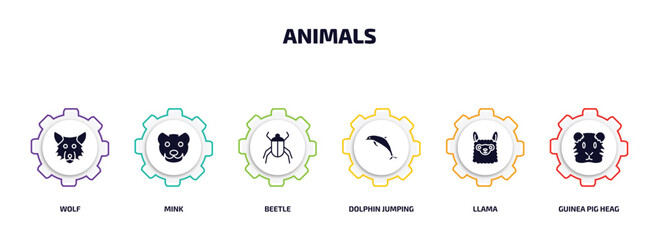 animals infographic element with filled icons and 6 step or option. animals icons such as wolf, mink, beetle, dolphin jumping, llama, guinea pig heag vector.