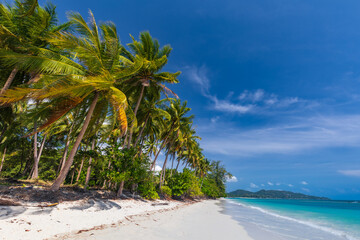 Sandy beach at tropical paradise with palm trees on sea shore and turquoise ocean, Samui, Thailand