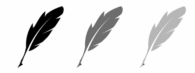 Feathers. Feather icon illustration on white background. Stock vector illustration.