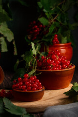 red currant berries in a clay bowl and on branches