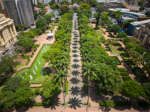 Beautiful drone view to line of imperial palm trees on green square