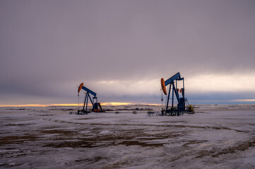 Oil pump jacks running at dusk