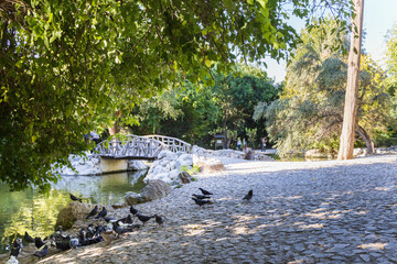 Landscape of National garden of Athens in Greece with group of pigeons and wooden bridge in the center of the city