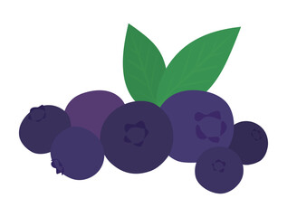 シンプルなブルーベリーのイラスト素材　blueberry