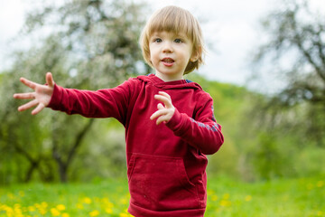 Cute toddler boy having fun in blossoming apple orchard on warm spring day. Active little boy picking flowers in city park.