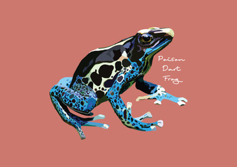 Vector Illustration of Poison Dart Frog, Frog