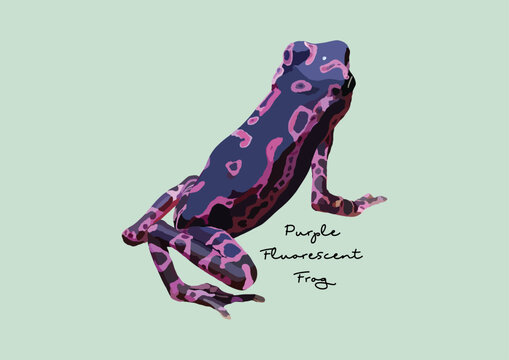 รูปภาพAtelopus เลือกดูภาพถ่ายสต็อก เวกเตอร์ และวิดีโอ94 Adobe Stock