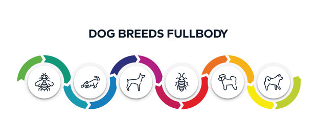 dog breeds fullbody outline icons with infographic template. thin line icons such as bumblebee, dogs playing, doberman, madagascan, bichon, malamute vector.