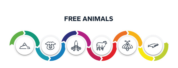 free animals outline icons with infographic template. thin line icons such as angular mountain, pig head, giant squid, black sheep, big bee, whale swimming vector.