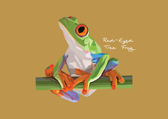 Vector Illustration of Red-Eyed Tree Frog, Frog