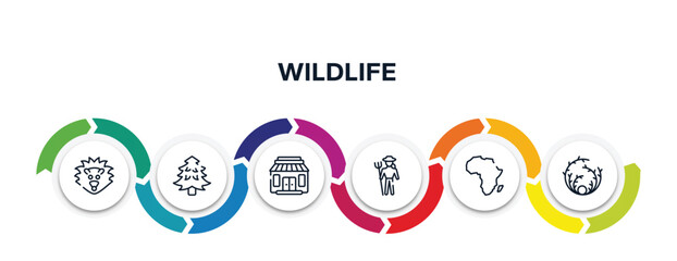 wildlife outline icons with infographic template. thin line icons such as hedgehog, pine tree, gift shop, zoo keeper, africa, tumbleweed vector.