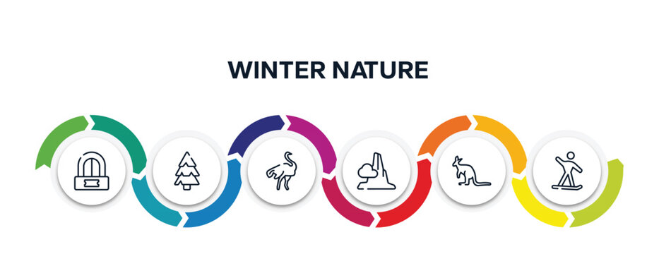 winter nature outline icons with infographic template. thin line icons such as ticket office, pine, ostrich, pico cao, kangaroo, snowboard vector.
